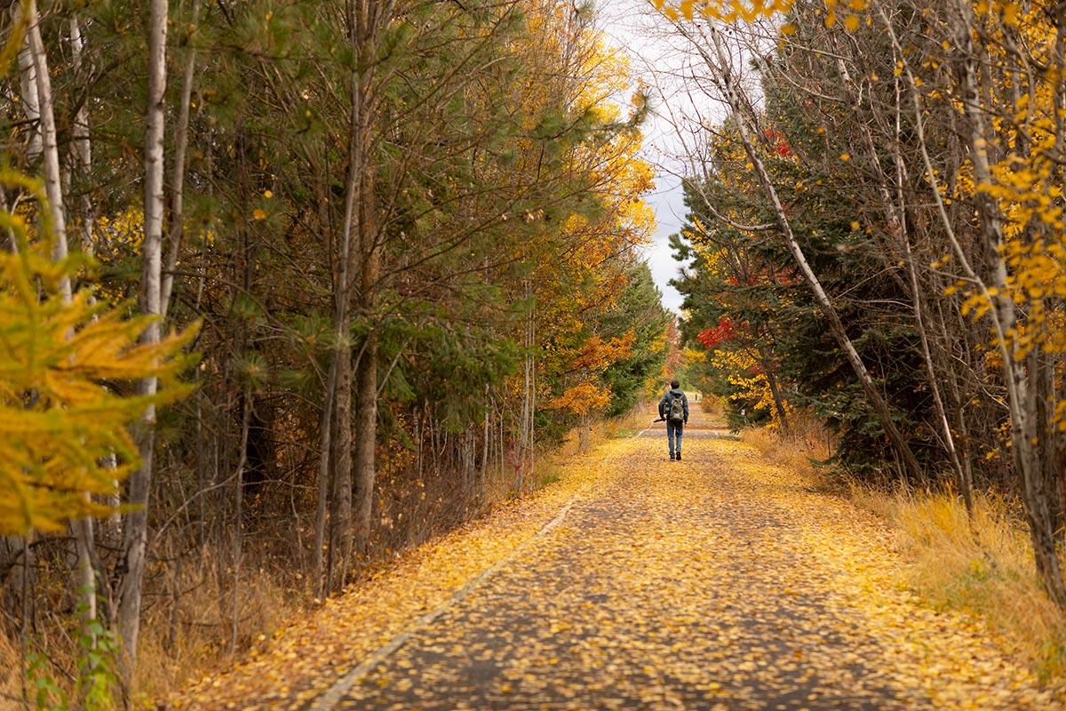A student walks along 天堂之路 in the fall, with yellow leaves on the ground 和 scattered on the path.